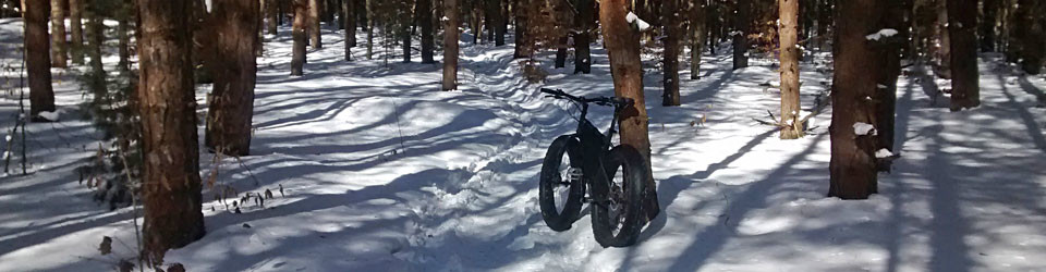 Fat Tire Tracks