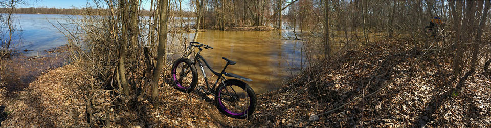 Fat Tire Tracks